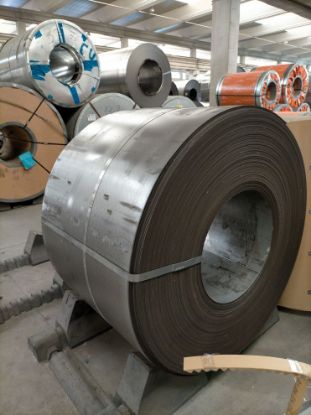 Immagine di 2103661505